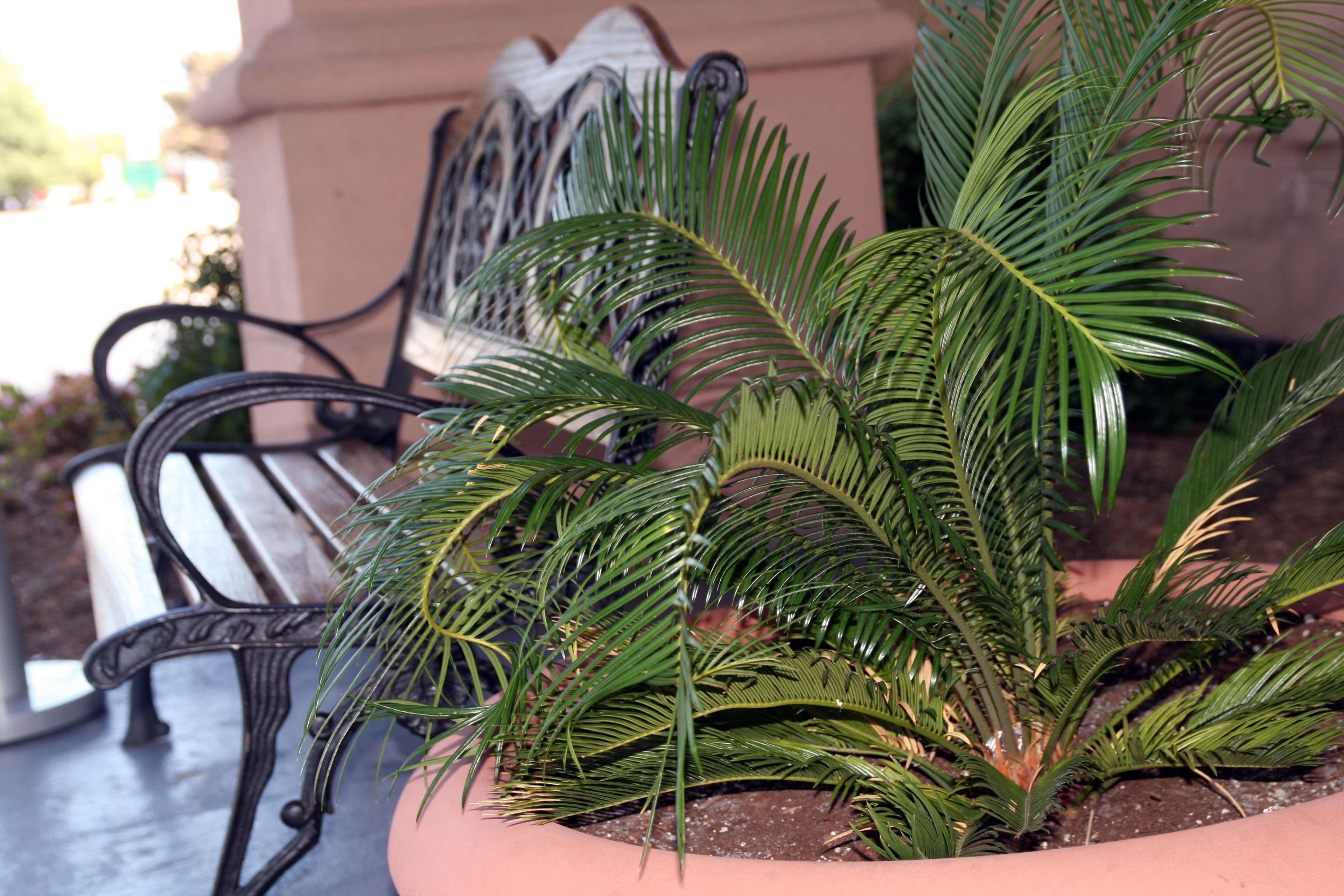Hotel Hampton Newport News-yorktown Newport News